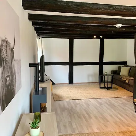 4-seen-haus - Weserbergland - Kamin - Feuerschale - Terrasse - Hunde דירה