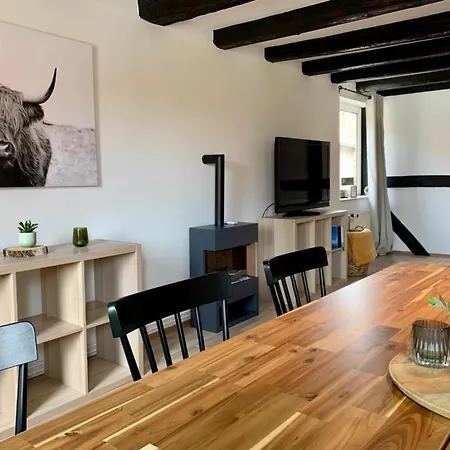 4-seen-haus - Weserbergland - Kamin - Feuerschale - Terrasse - Hunde דירה